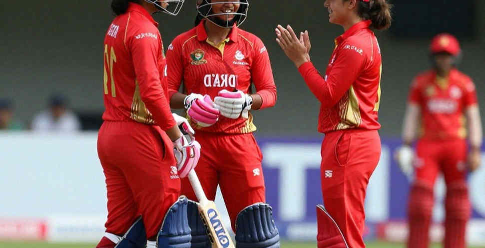 খালি খাতা, সৎ নাল: ক্রিকেট-বিশ্লেষণের আসল খতিয়ান